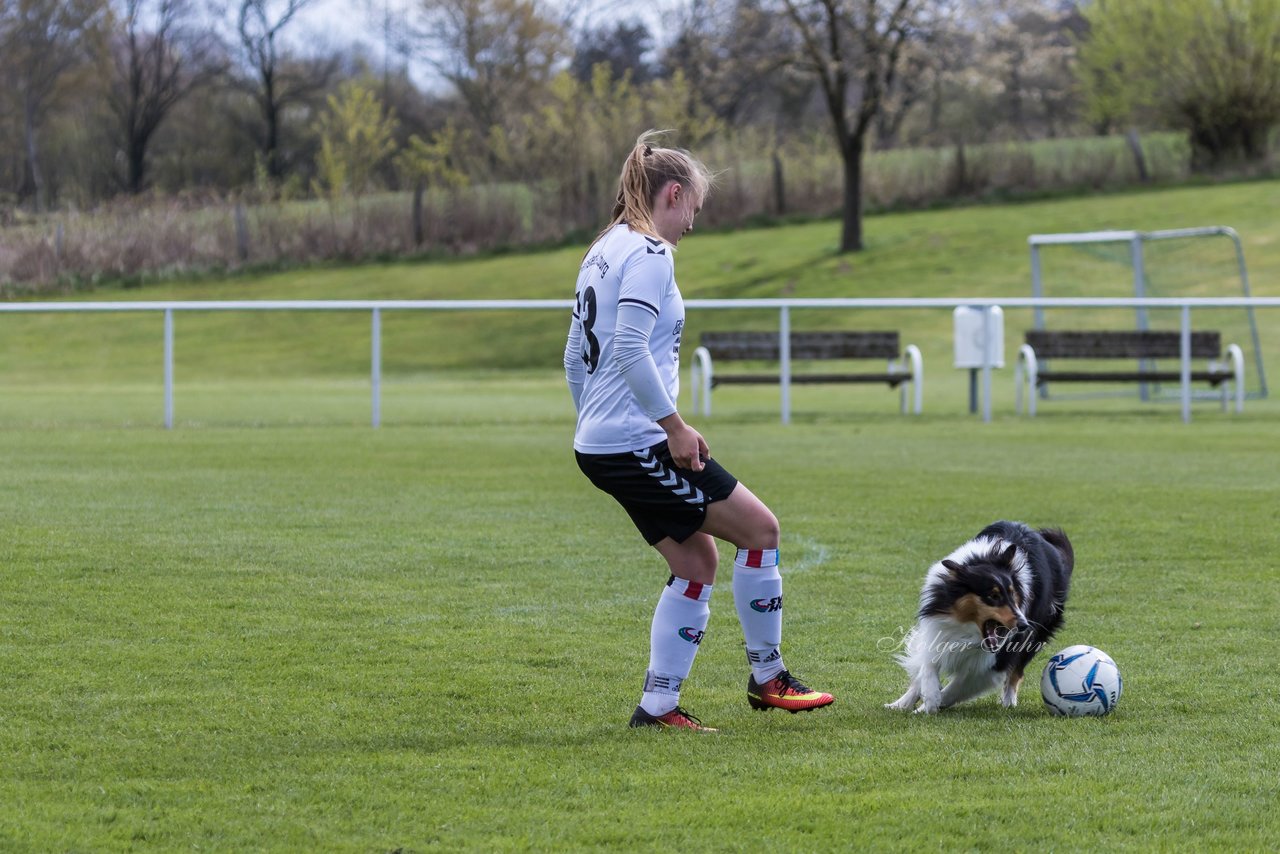 Bild 144 - Frauen SV Henstedt Ulzburg2 : TSV Schoenberg : Ergebnis: Abbruch